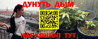дживик Славгород