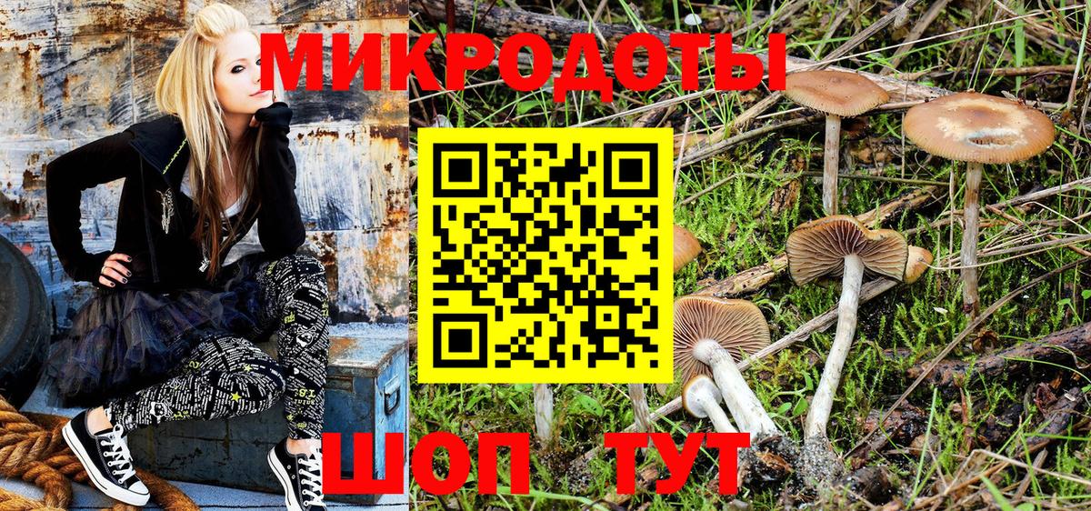 Самара  Псилоцибиновые грибы Cubensis  Вход с VPN 